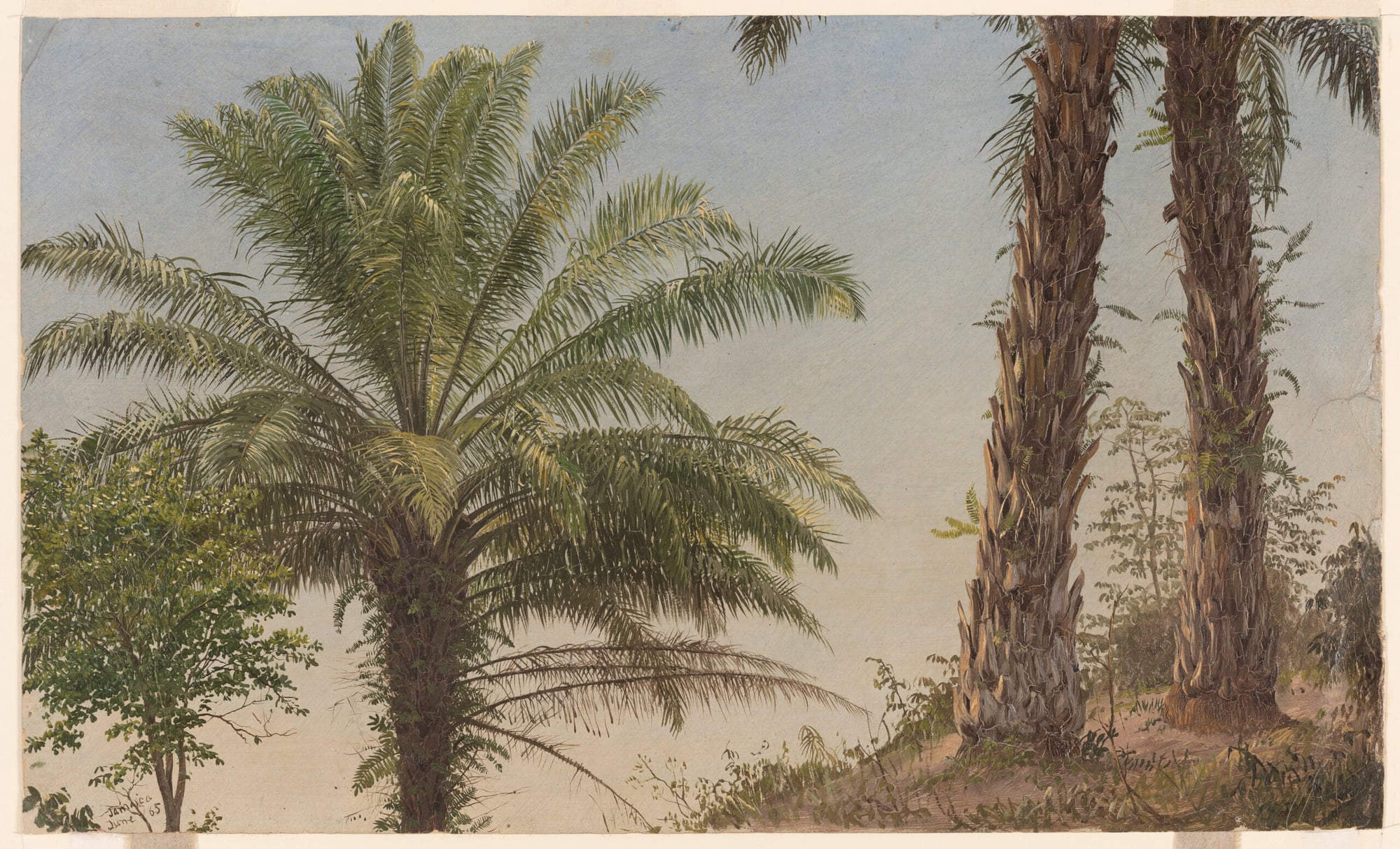 Frederic Church in Jamaica